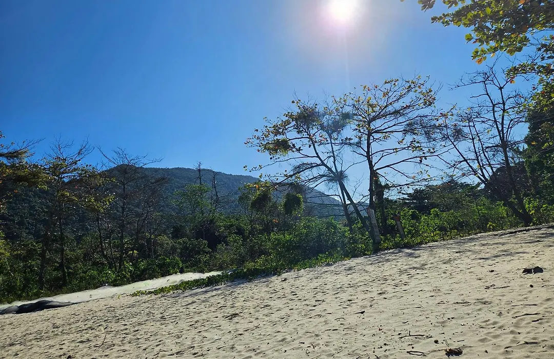 Flats Alto das Pedras-1
